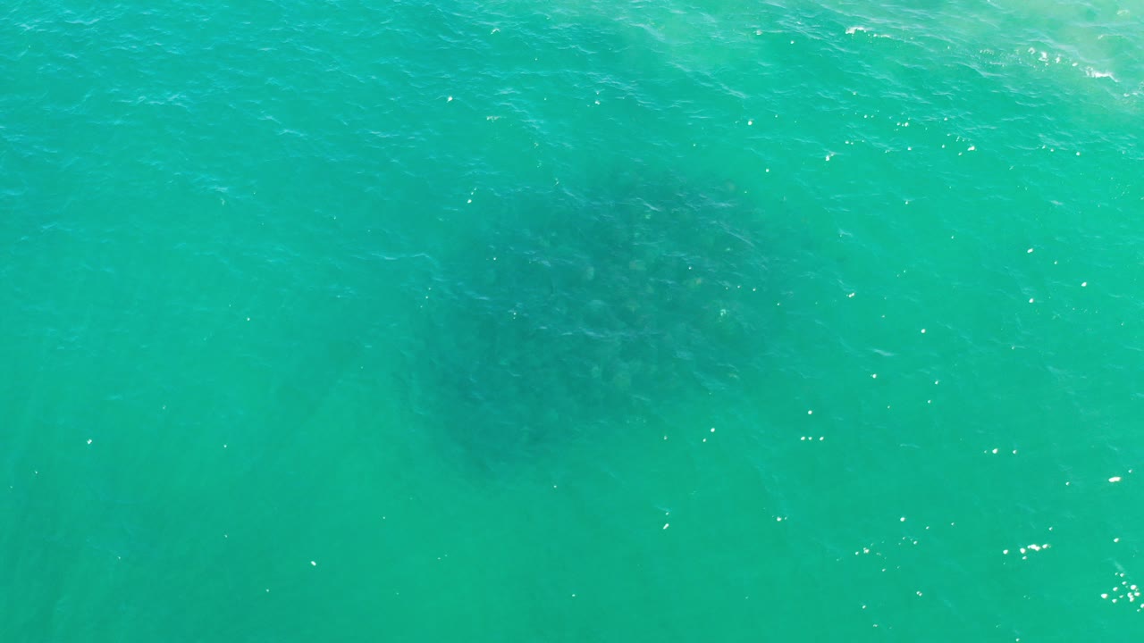 Top-down view of cyan sea in Los Cabos, Mexico, with faint darker underwater shapes and no visible people.