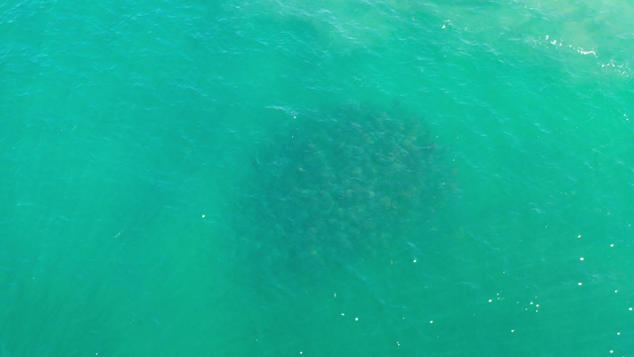 Overhead view of turquoise shallow water in Los Cabos, Mexico, with a dark fish bank visible below the surface and no visible people.