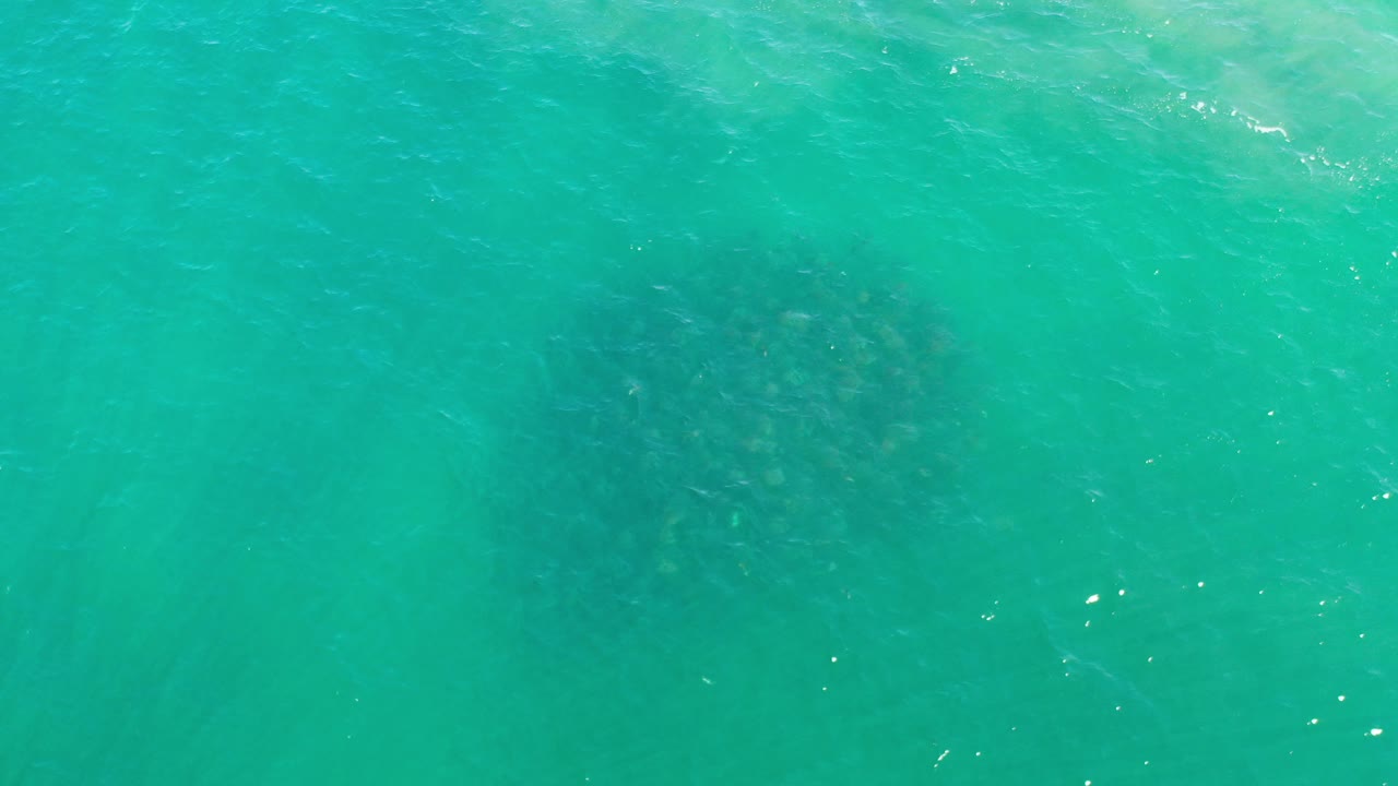Overhead clear sea with scattered highlights and fish shapes beneath.