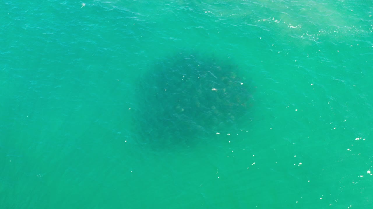 Turquoise water with a dark round school of fish below the surface.