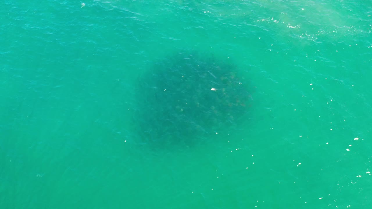 Aerial frame from Los Cabos, Mexico, with the fish school softened by surface ripples and small white highlights across the turquoise water, with no visible people.