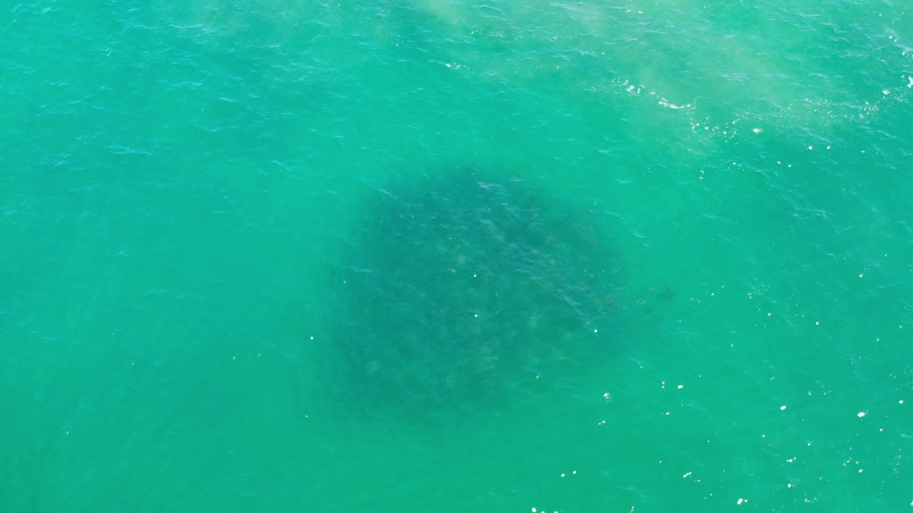 Top-down view of turquoise-green water in Los Cabos with faint dark fish patches under the surface and no visible people.
