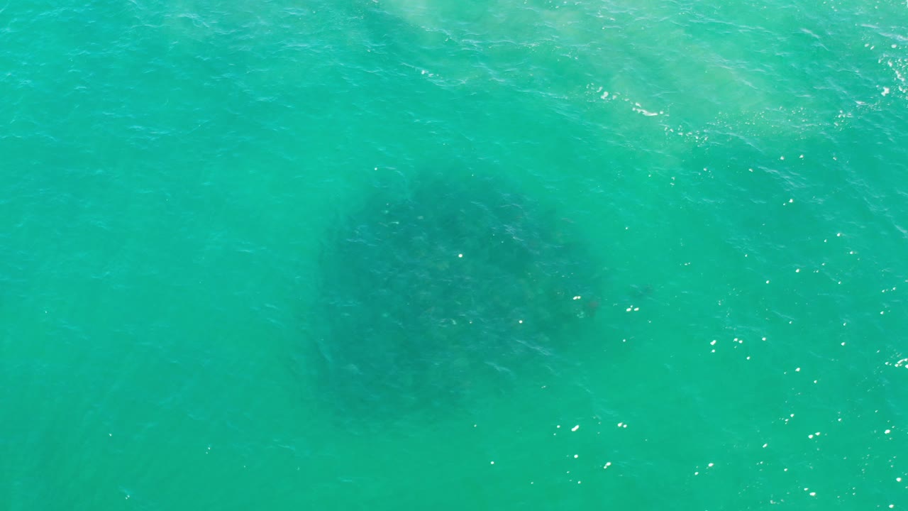 Aerial-style view of clear green water over fish shadows