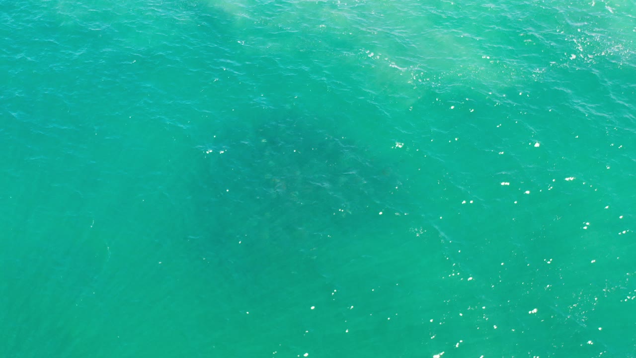Green sea water seen from directly above with faint fish below
