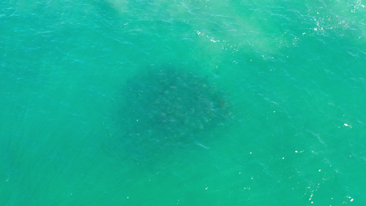 Overhead view of turquoise-green seawater in Los Cabos, Mexico, with dark fish shapes faintly visible below the rippled surface and no visible people.
