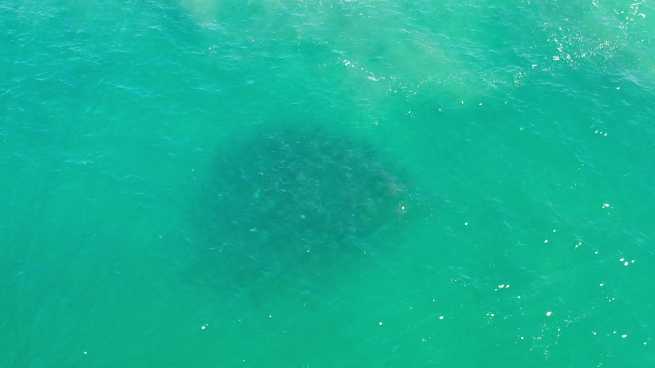 Turquoise water with darker fish patch below surface