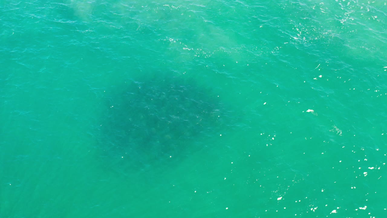 Overhead view of turquoise seawater in Los Cabos, Mexico, with dark submerged shapes near the lower left and no visible people.