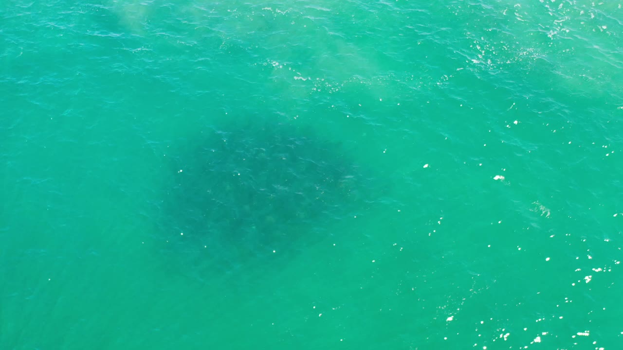 Top-down Los Cabos water frame showing a darker submerged patch near center left, scattered bright surface flecks, and no visible people.