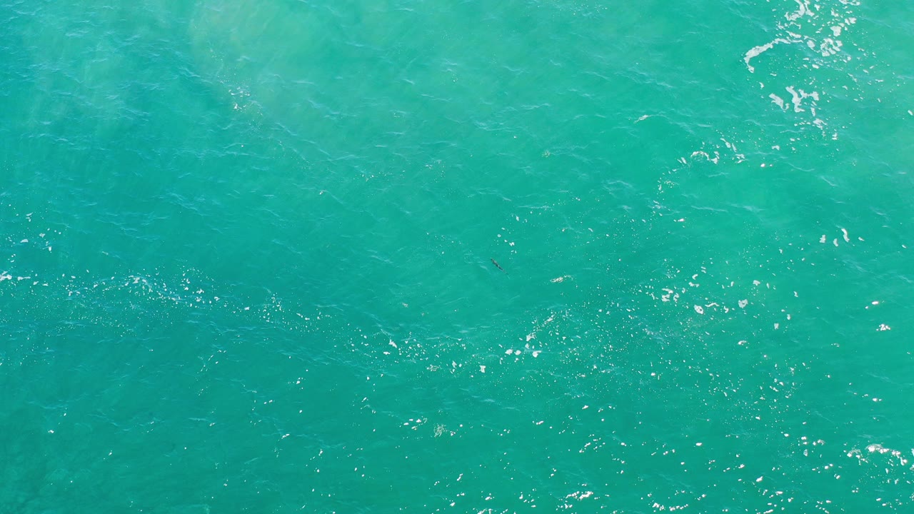 Turquoise ocean surface in Los Cabos fills the frame with scattered sun highlights and no visible people.