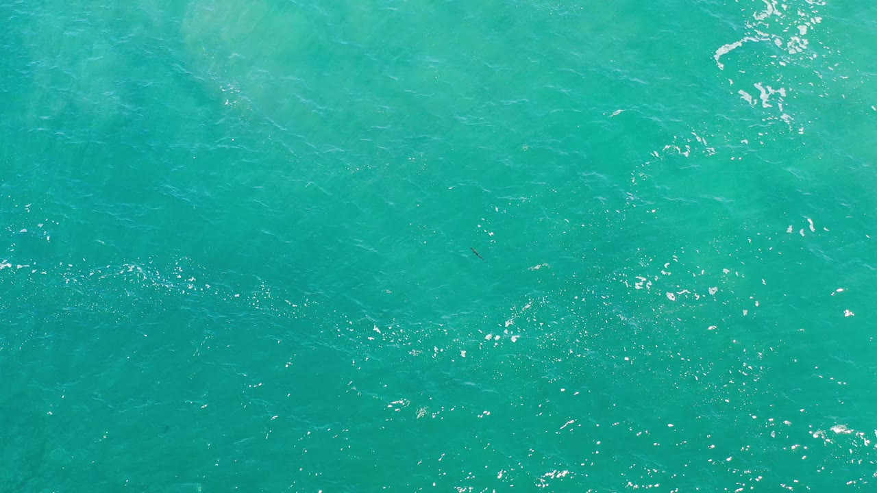 Blue-green water in Los Cabos shows soft ripples and faint underwater tonal shifts, with no visible people or boats.
