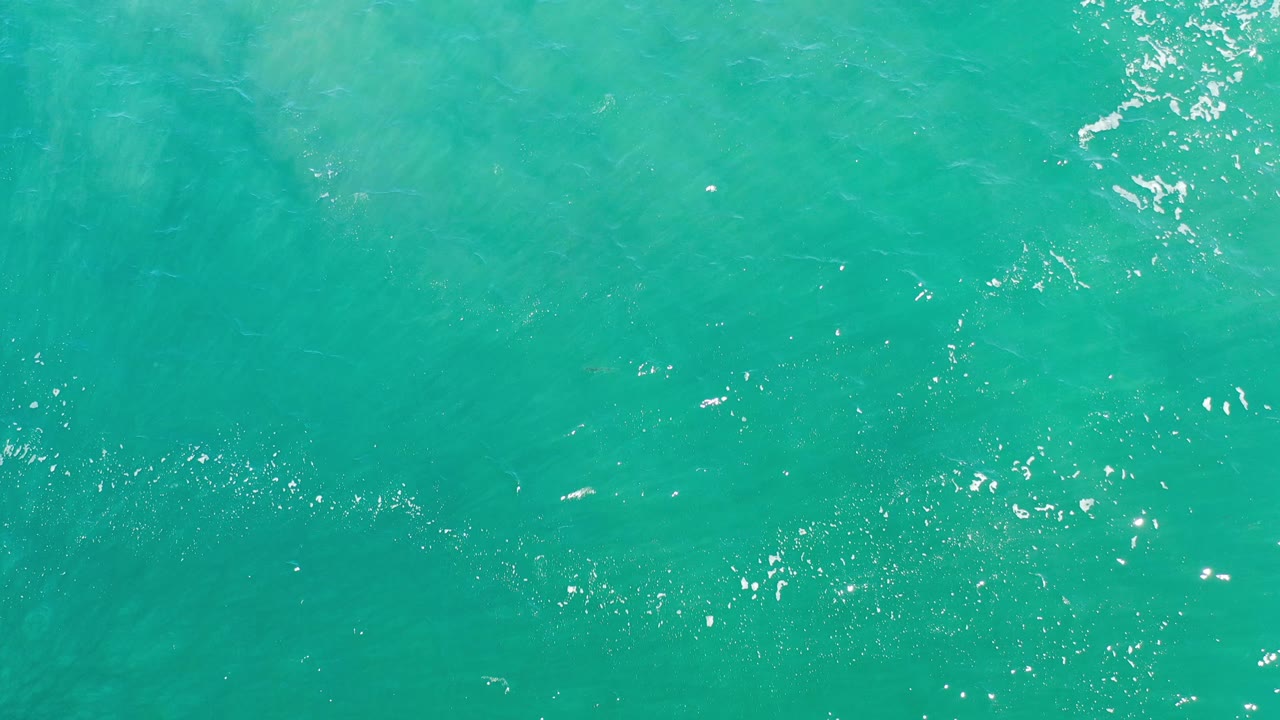 Cyan sea surface with rippled texture and scattered white sparkles.