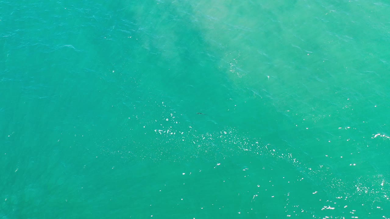 Turquoise sea surface with scattered bright reflections.
