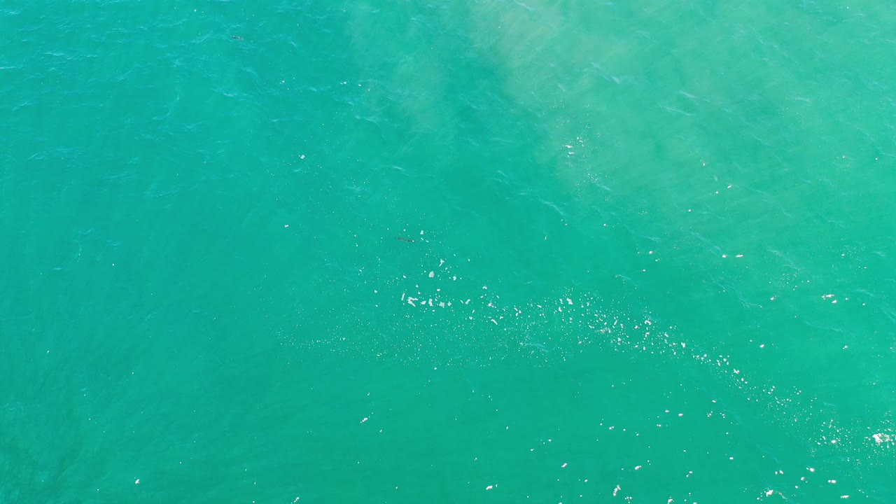 Light blue ocean with scattered glints