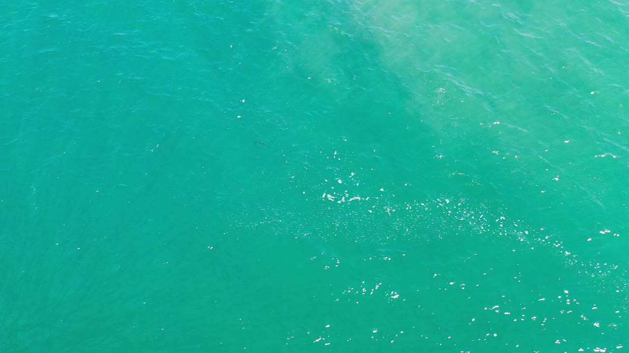 Teal ocean surface with small white sparkles.