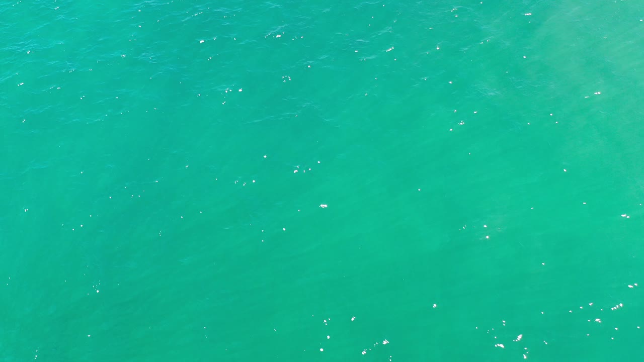 Bright teal water surface with scattered white highlights.