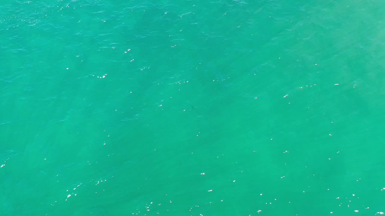 Calm turquoise water with brighter sparkle near the surface.