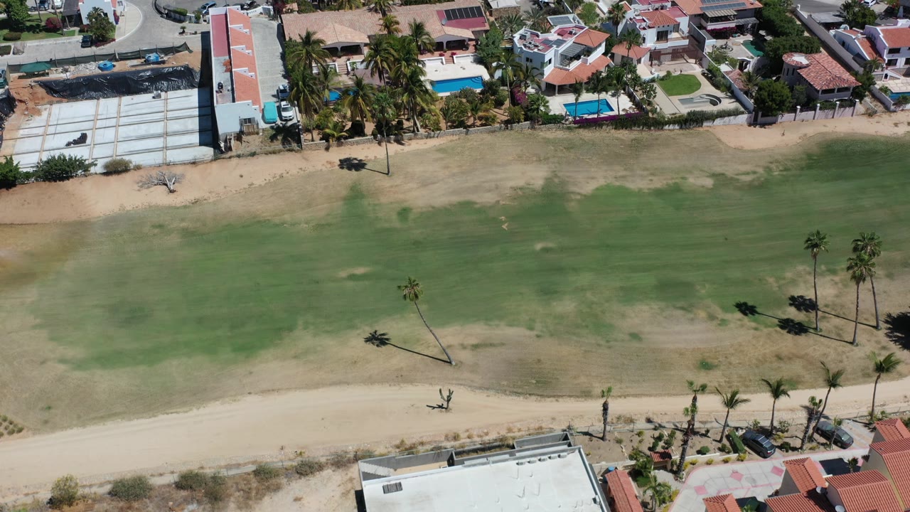Aerial neighborhood edge with fairway grass, palms, homes, and road.