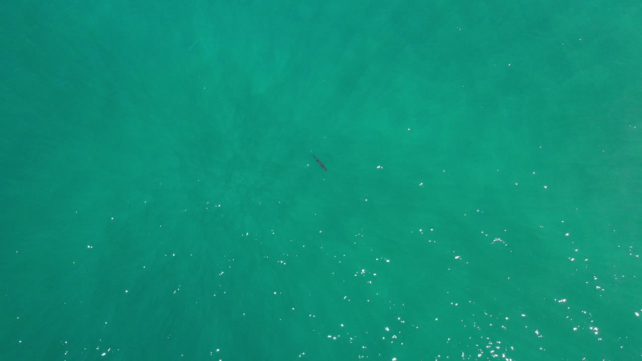 Overhead view of clear turquoise water in Los Cabos, Mexico, with bright surface sparkles and a small dark fish near the upper part of the frame, no visible people.
