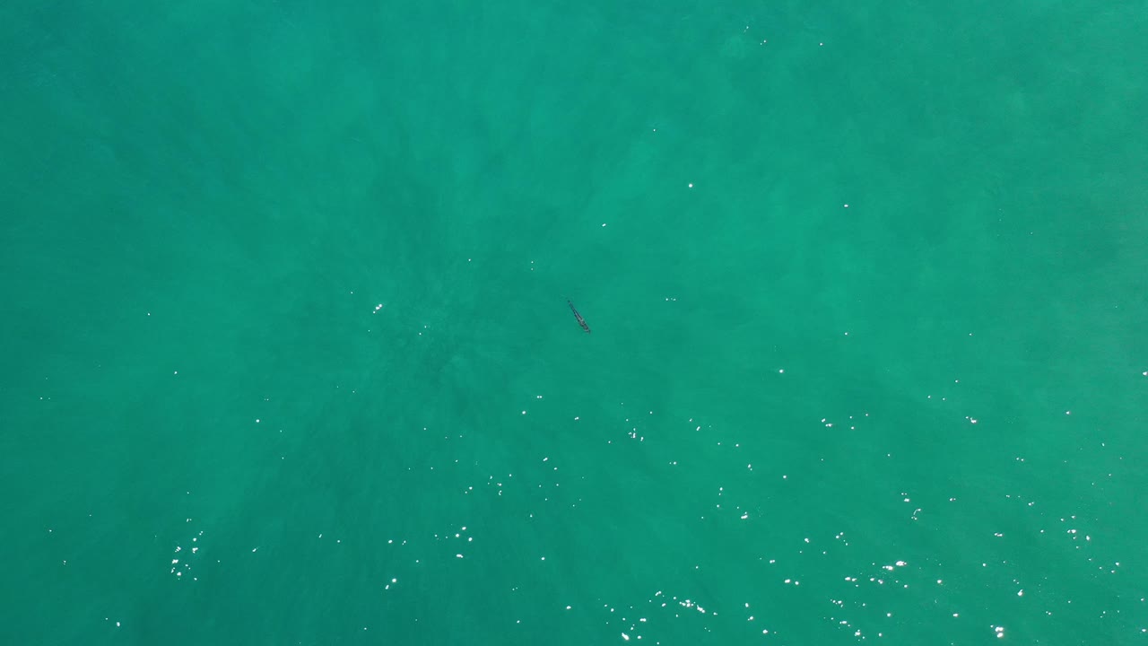 Open turquoise water with bright reflection points and a small fish low in the frame.