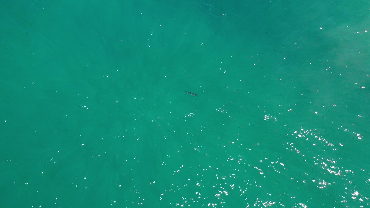 Turquoise ocean surface with scattered sunlight reflections.
