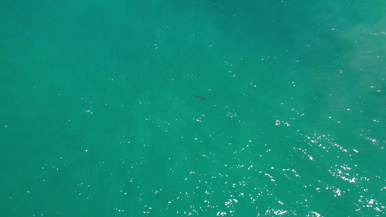 Blue green water in Los Cabos, Mexico, fills the frame with a small dark floating mark near the center area and no visible people.