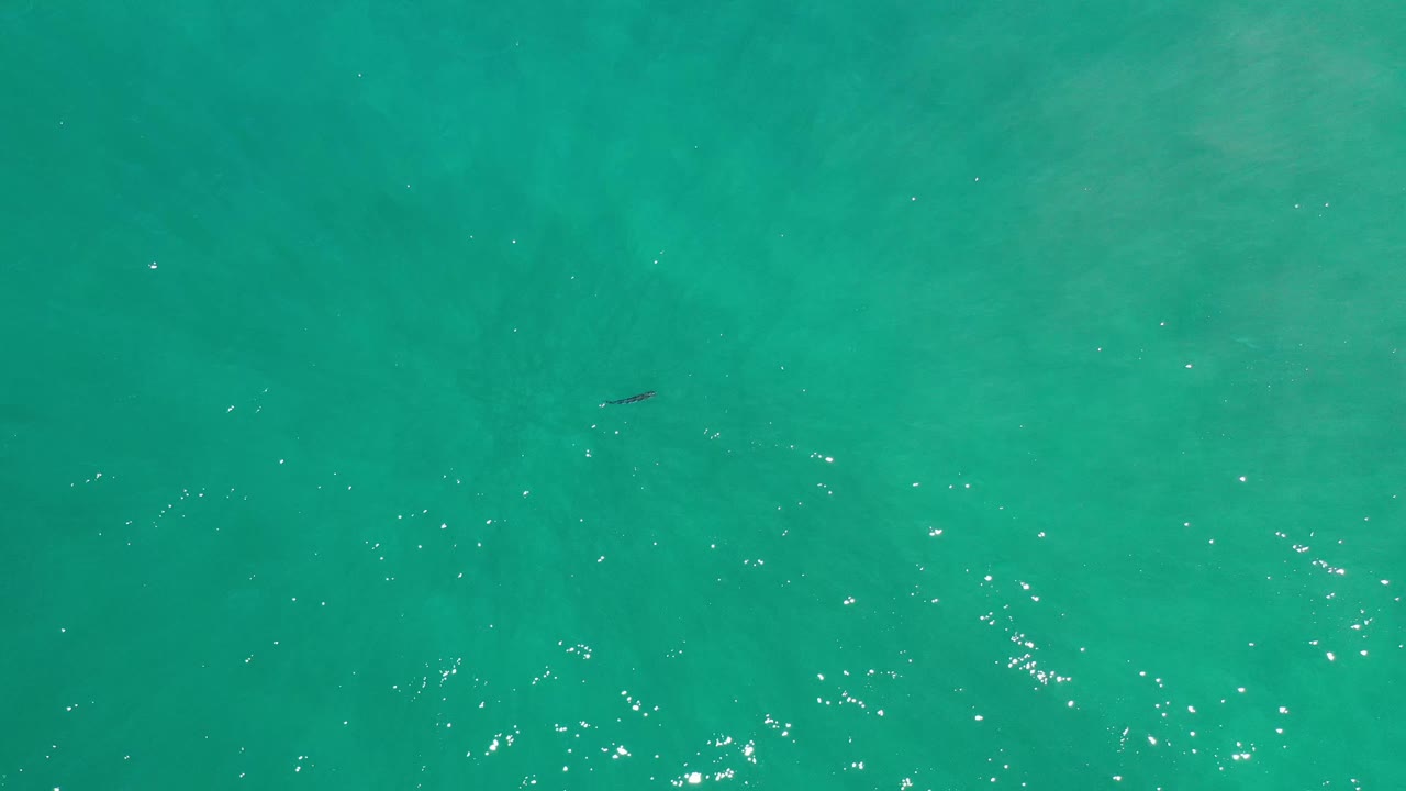 Overhead Los Cabos seawater frame with bright specks of reflected light and a faint fish shape near the upper center, no visible people.