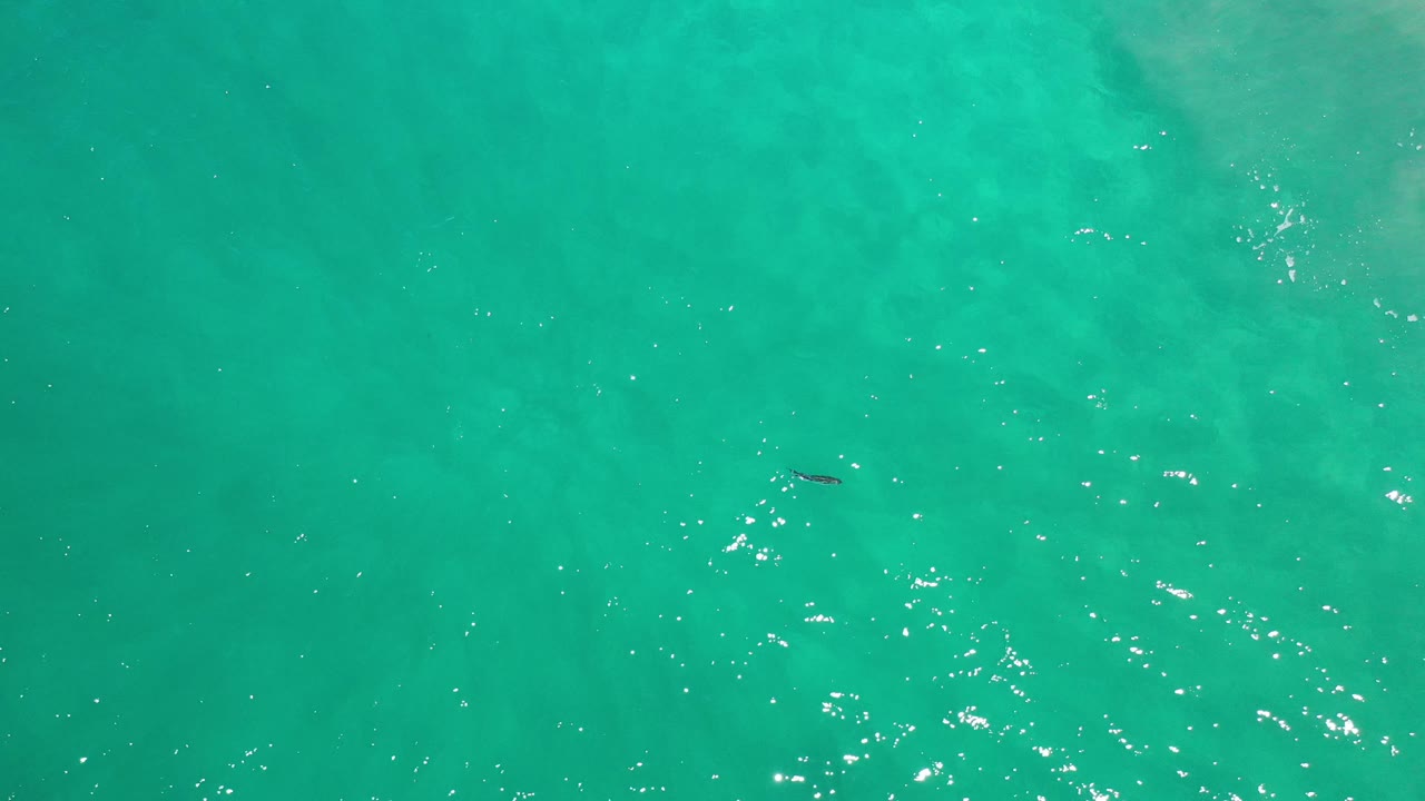 Clear turquoise water in Los Cabos, Mexico, shows bright surface reflections and a small fish slightly left of center, with no shoreline or people visible.