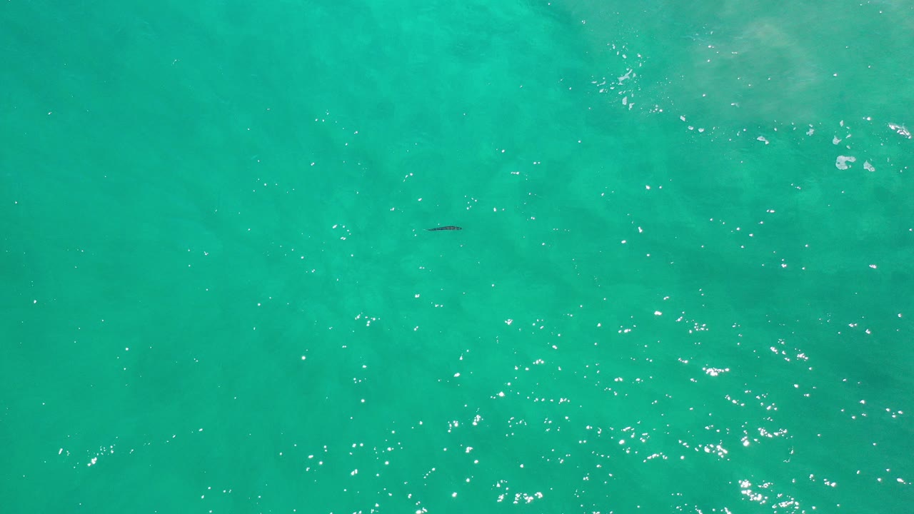 Overhead view of clear turquoise water in Los Cabos, Mexico, with sun glints and one small dark fish near the upper-left area, no visible people.