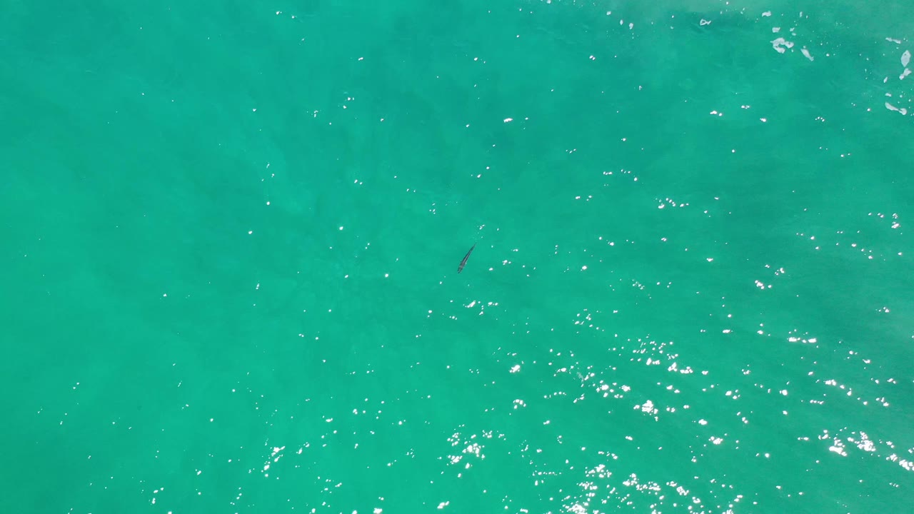 Overhead view of clear green-blue ocean in Los Cabos, Mexico, with scattered bright reflections, faint darker water patches, and no visible people.