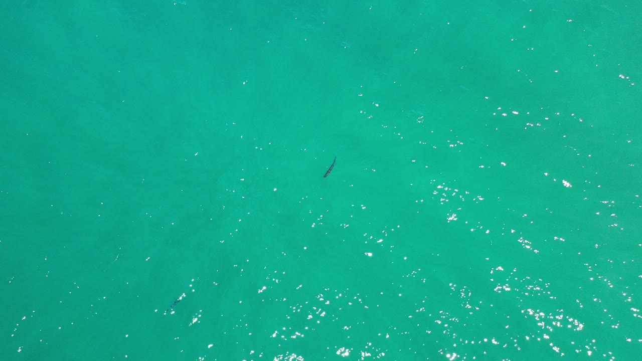 Overhead view of turquoise ocean water near Los Cabos, Mexico, with bright surface glints, faint underwater patches, one small dark fish shape, and no visible people.