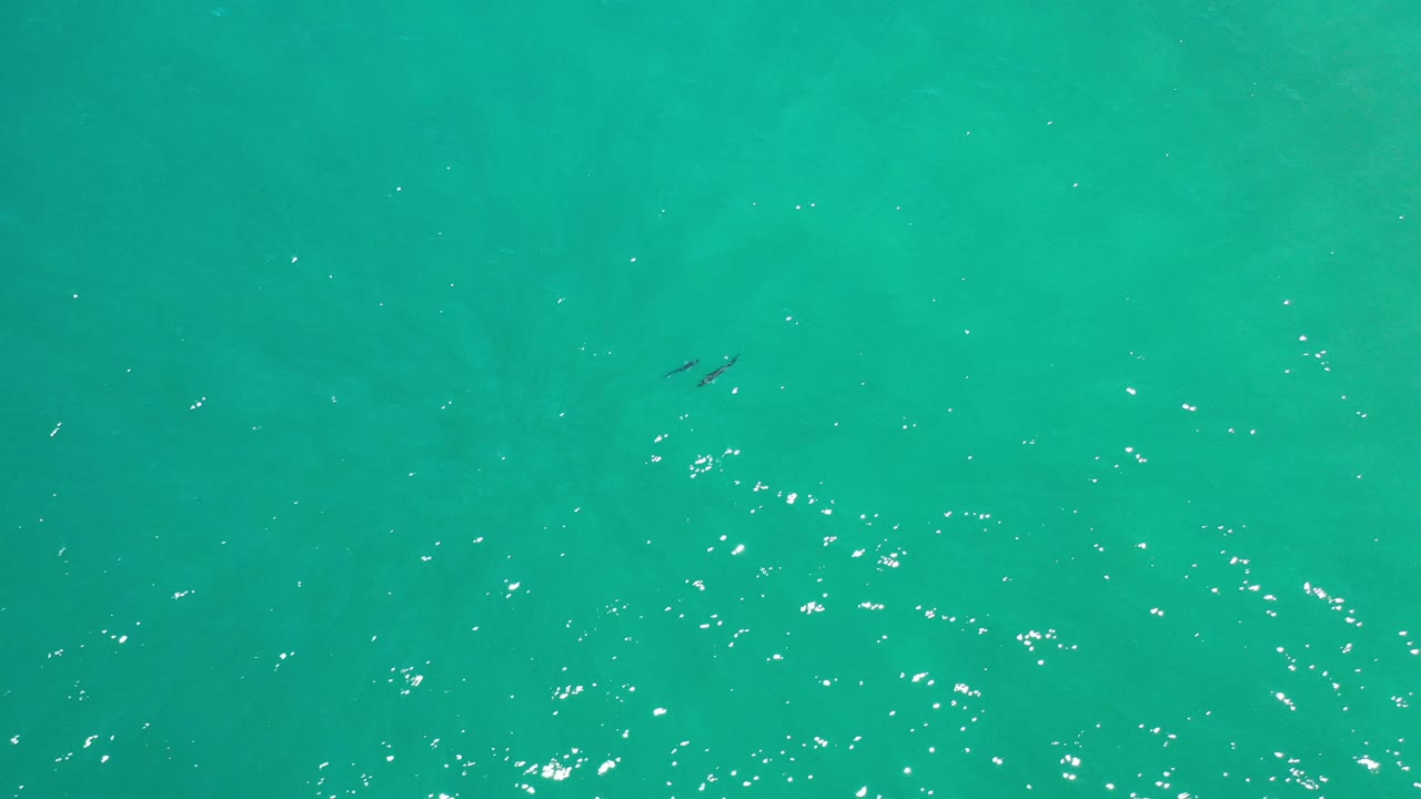 Clear teal water with bright reflection clusters and tiny fish marks.