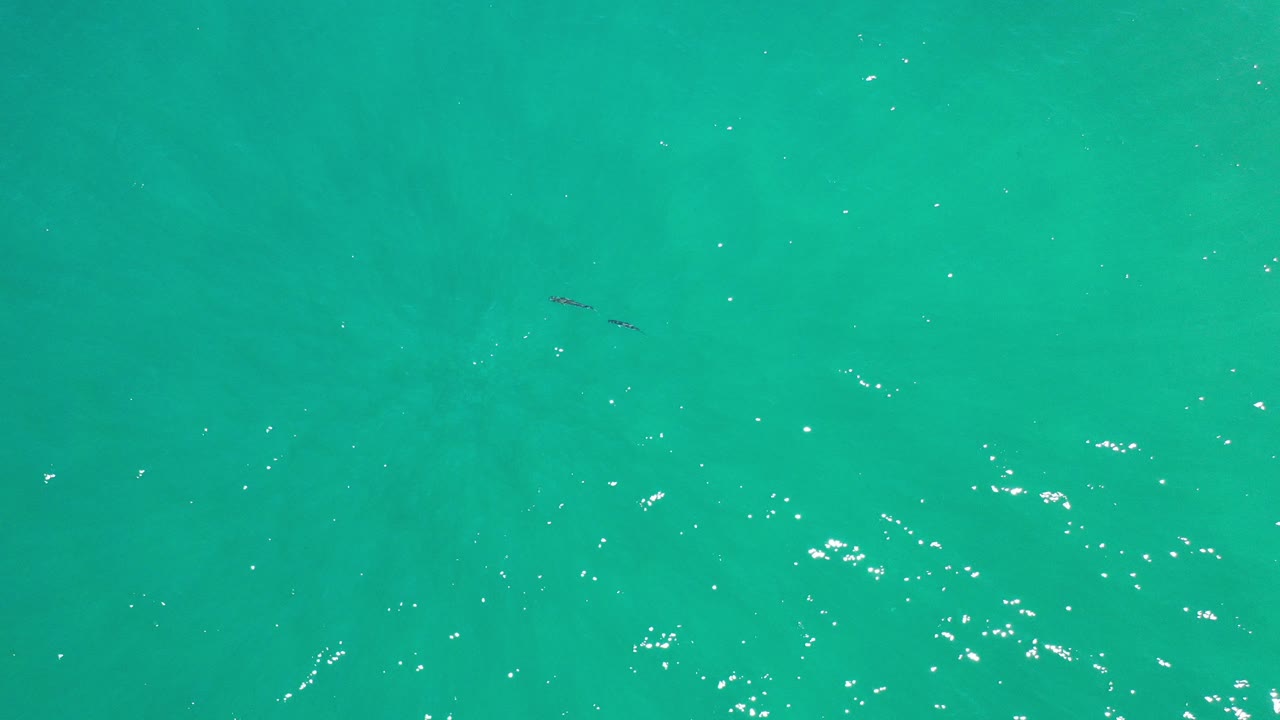 Overhead view of clear turquoise water in Los Cabos, Mexico, with scattered surface sparkle, faint sandy bottom detail, and no visible people.