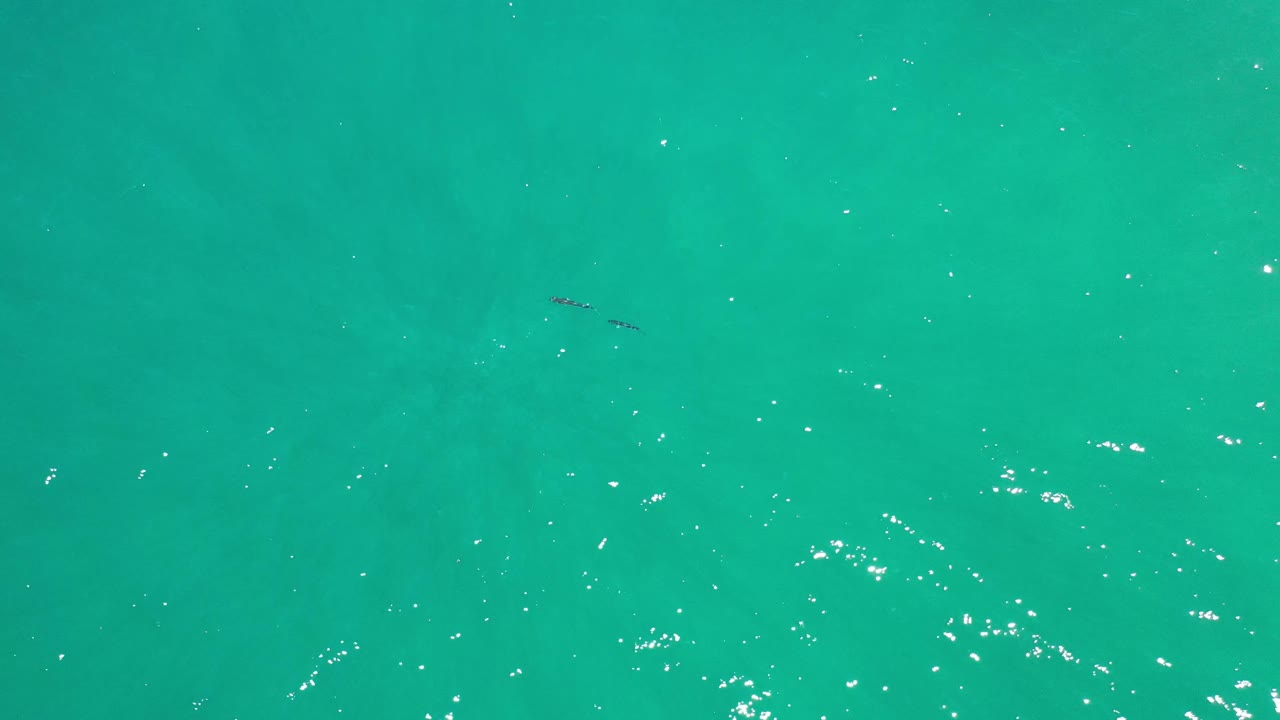 Clear green-blue ocean water in Los Cabos, Mexico, fills the frame with bright ripple highlights, a small dark shape near the upper left, and no visible people.