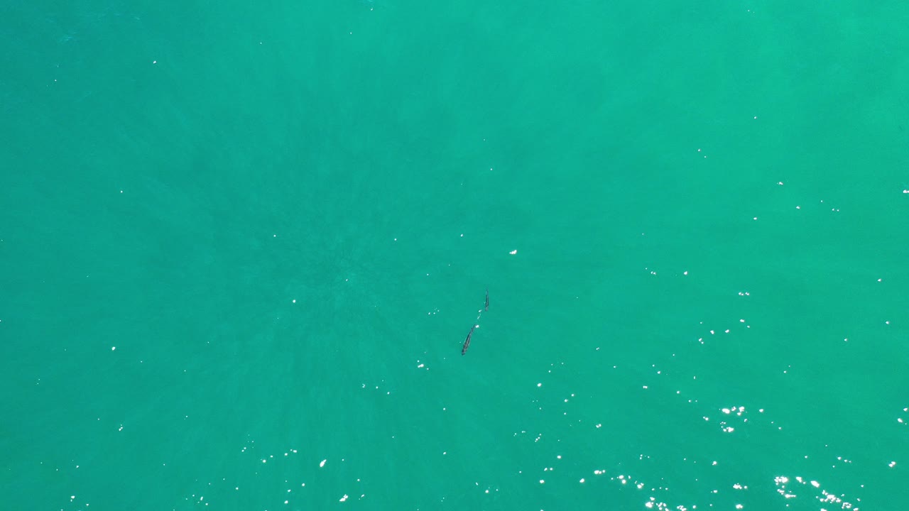 Overhead view of turquoise ocean near Los Cabos, Mexico, with faint underwater tonal patches, scattered white sun reflections, and no visible people.