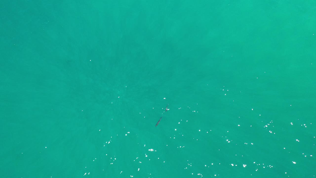 Open turquoise water with scattered highlights and a faint dark marine shape.