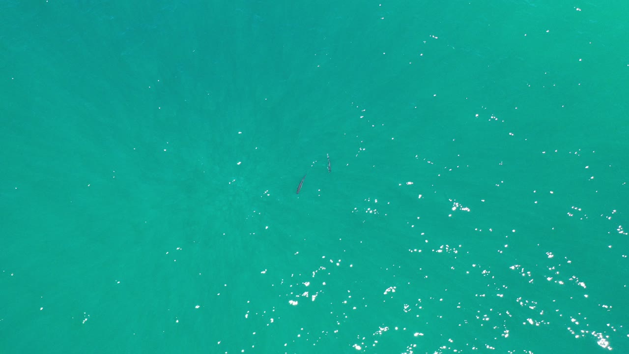 Overhead view of turquoise-green ocean in Los Cabos, Mexico, with scattered sun glints, faint submerged patches, and no visible people.