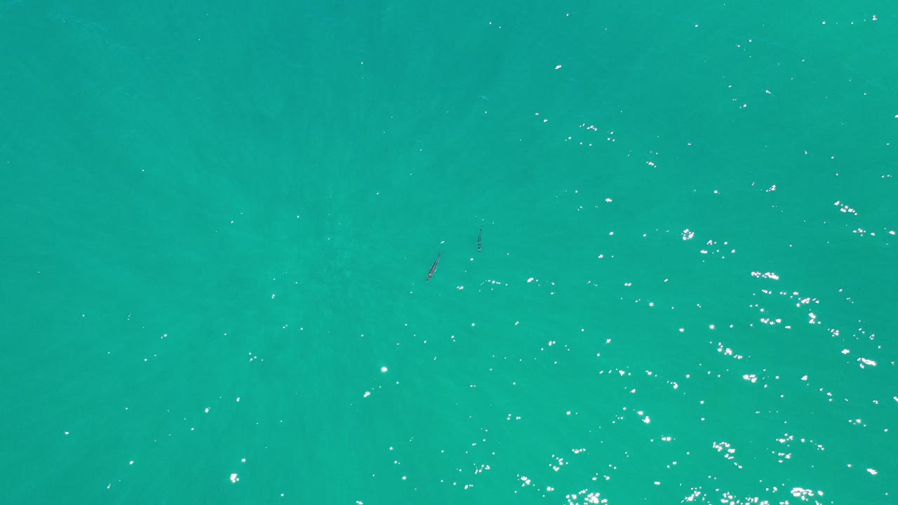 Open turquoise sea with ripples and a narrow dark shape in the water.