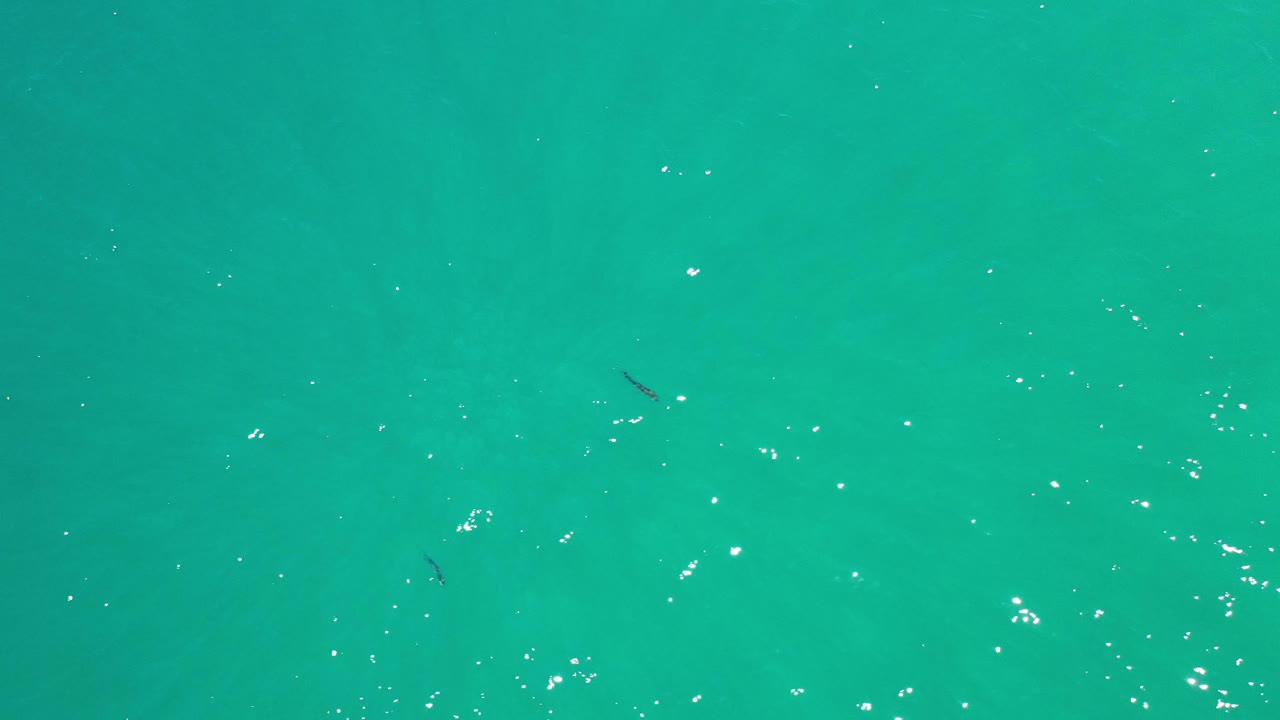 At 0:02, the Los Cabos ocean surface shows scattered white glints and small dark fish marks against clear turquoise water, with no visible people.