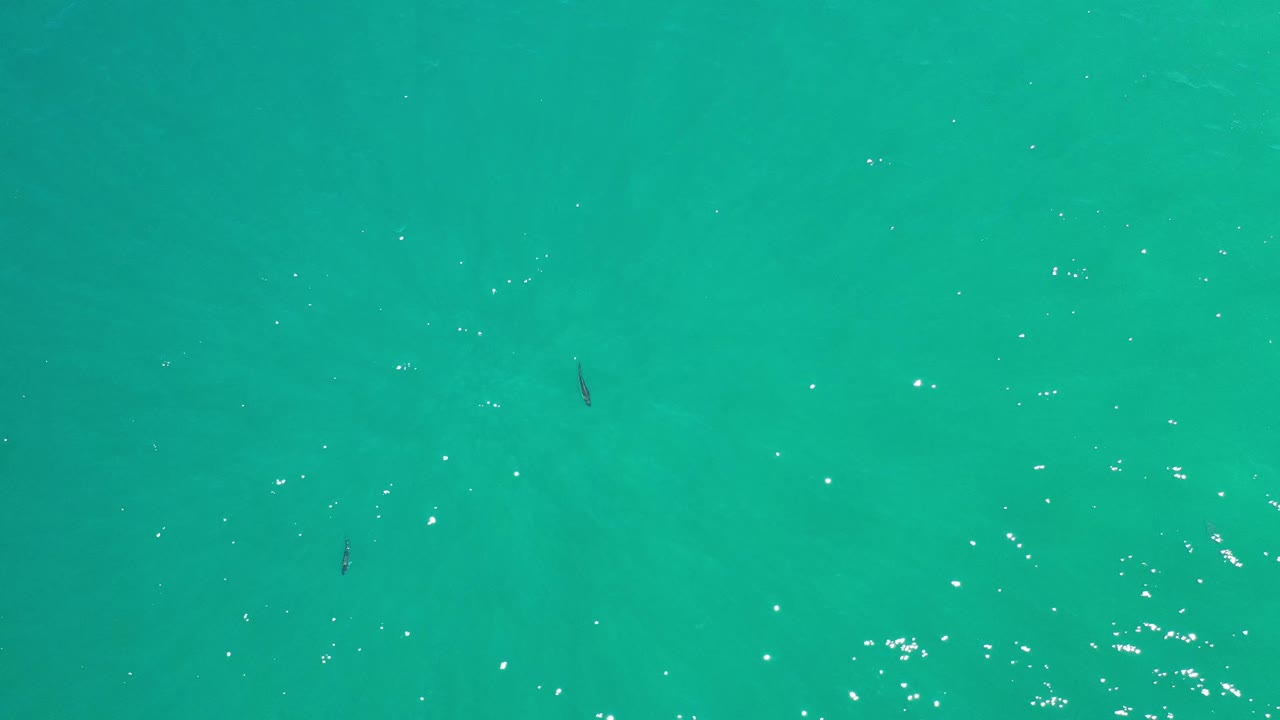Clear green-blue water fills the frame in Los Cabos, Mexico, with bright surface reflections and a few small fish silhouettes visible below, no visible people.