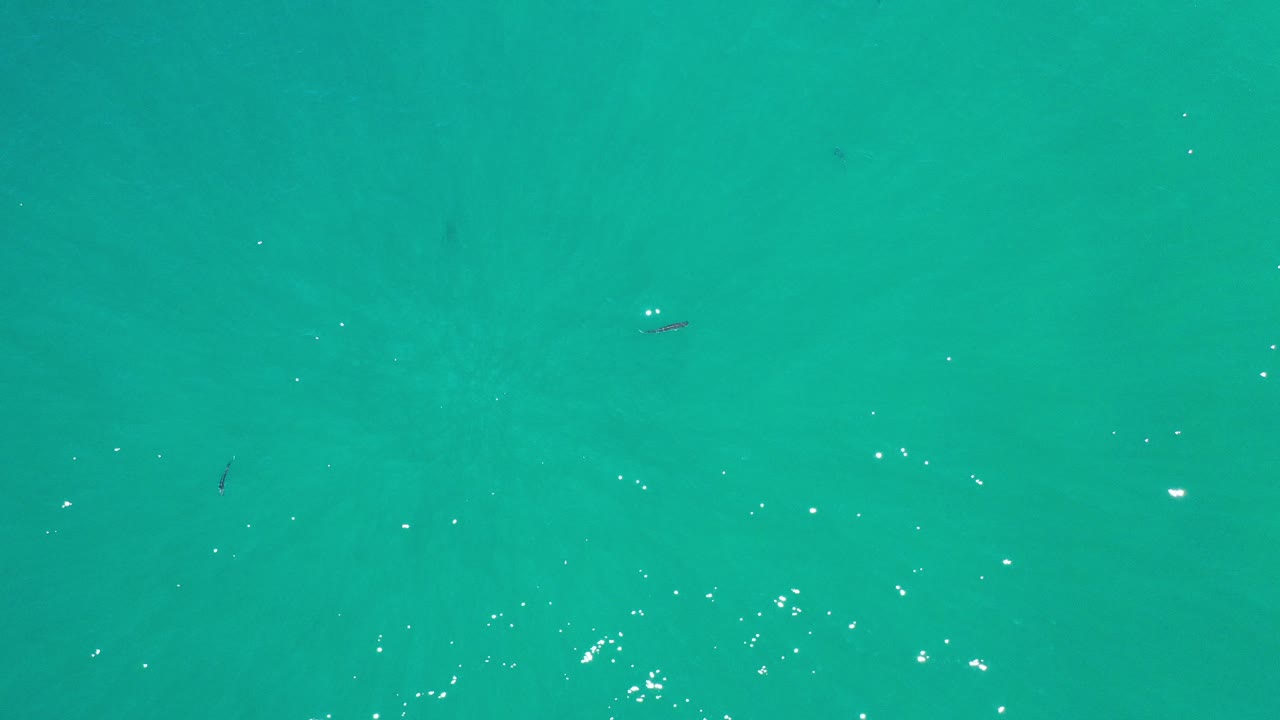 Overhead view of turquoise ocean water in Los Cabos, Mexico, with scattered white sun reflections, faint underwater patches, a few tiny dark fish shapes, and no visible people.