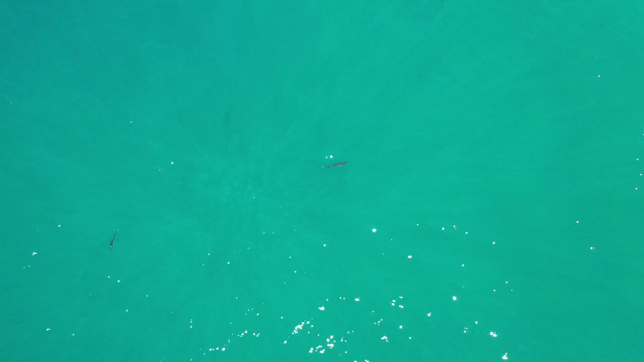 Overhead Los Cabos ocean frame with blue-green water, a loose line of bright surface sparkles, subtle darker areas under the water, and no visible people.