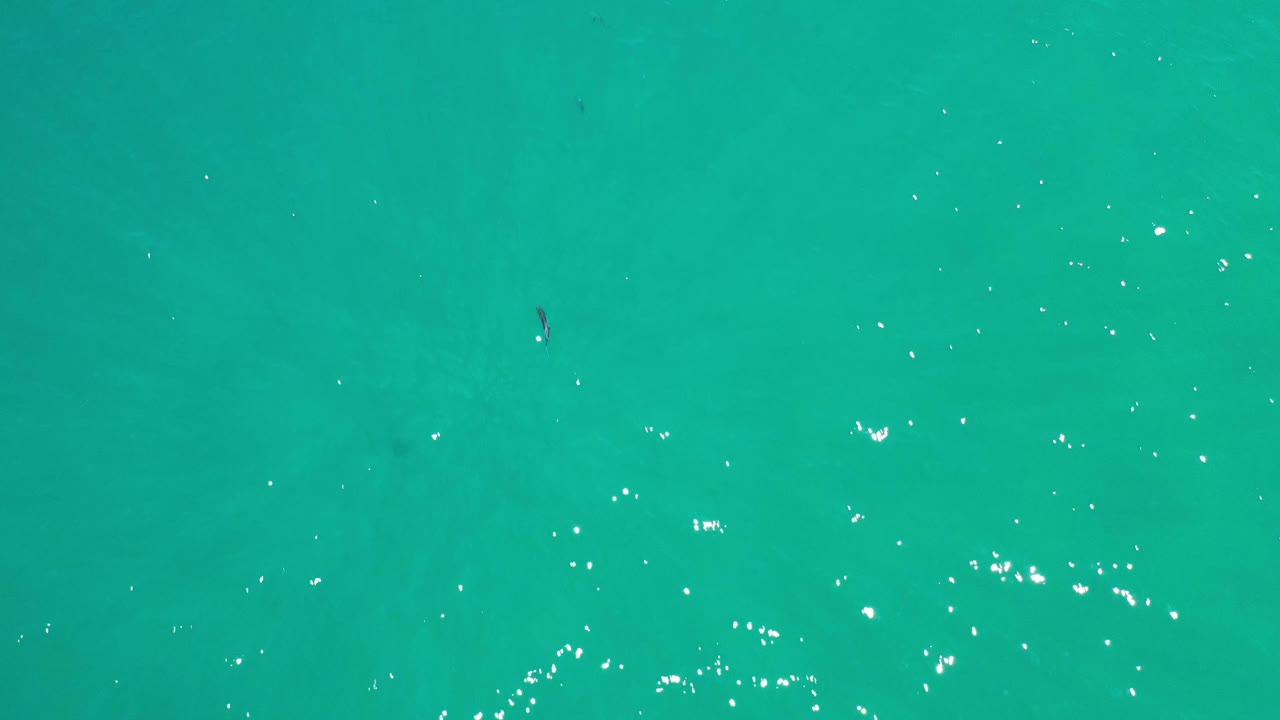 Overhead view of clear green Los Cabos ocean water with bright sun flecks across the upper portion and no visible people.