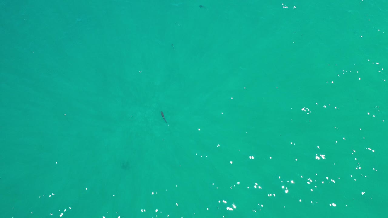 Turquoise sea with faint fish shapes
