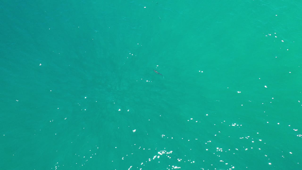 Overhead view of clear turquoise water in Los Cabos, Mexico, with scattered sun highlights and no visible people.