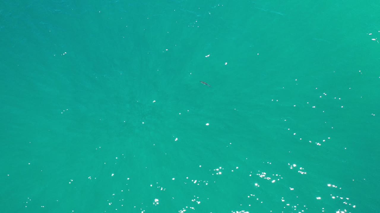 Turquoise water with clusters of white surface reflections.