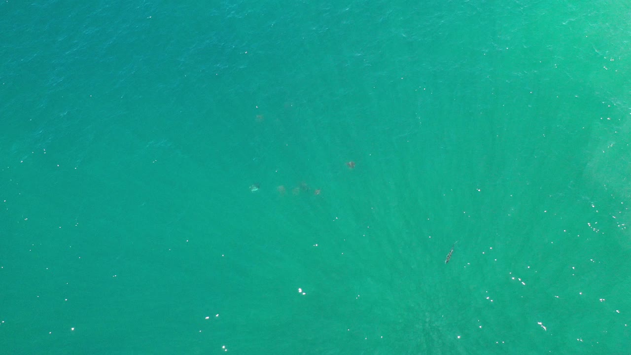 Turquoise ocean water seen from directly above.