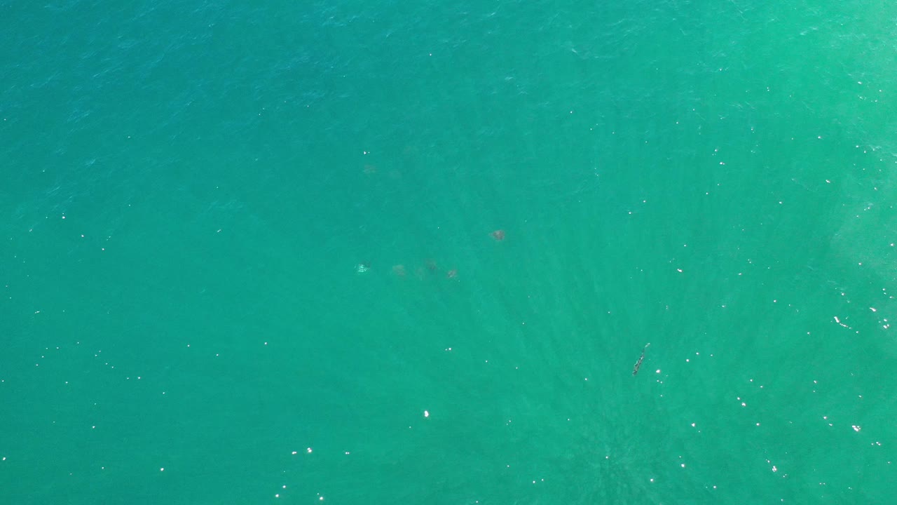 Overhead view of blue-green ocean water in Los Cabos, Mexico, with scattered bright highlights and no visible people.