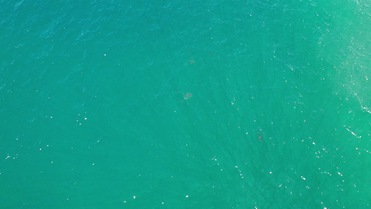 Top-down view of turquoise-green sea water in Los Cabos, Mexico, with faint fish shapes under the rippled surface and no visible people.
