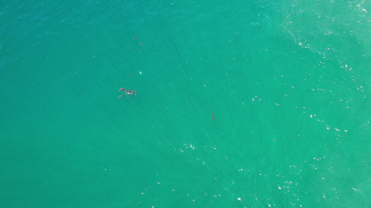 Overhead Los Cabos ocean view with turquoise water, surface sparkle, a small fish group near the upper left, and no visible people.