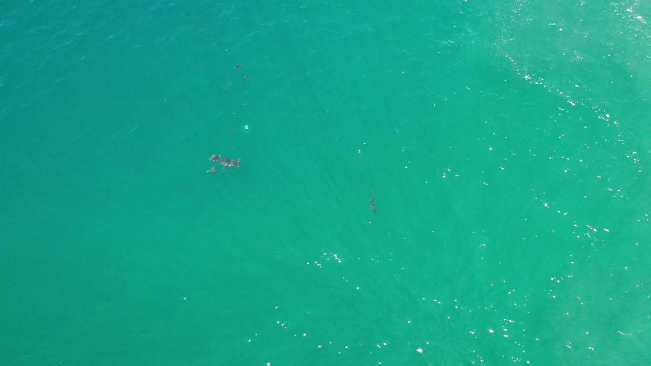 Overhead Los Cabos water frame with faint fish shapes near the top area, scattered sun glints, and no visible people.